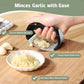 Manual Stainless Steel Garlic Crusher With Handle