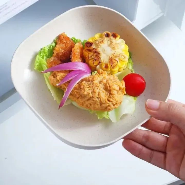 Kitchen Accessories Square Plastic Dinner Plate Set (Set of 10 Pcs, Multicolor)